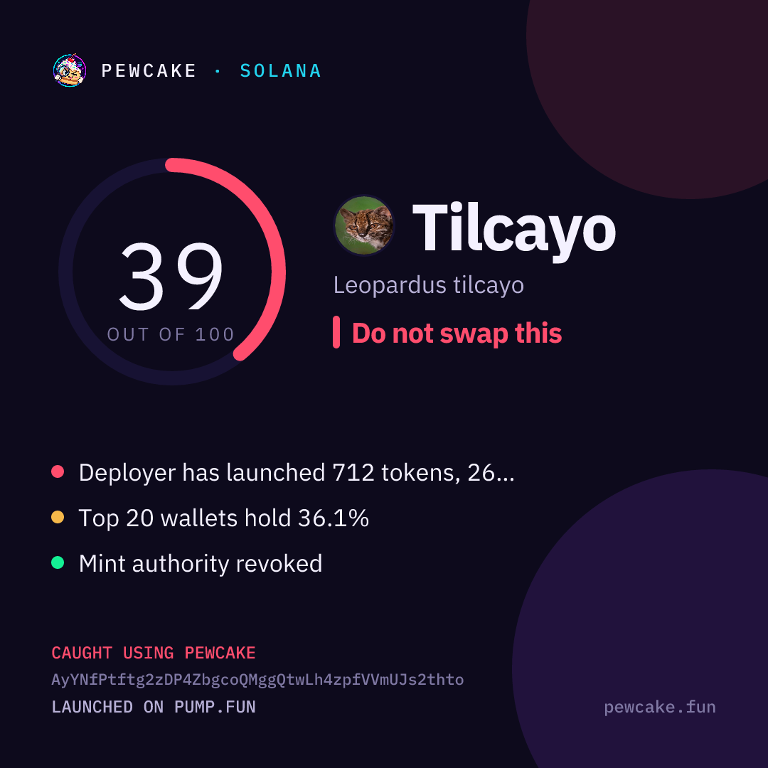 Pewcake risk card for Tilcayo