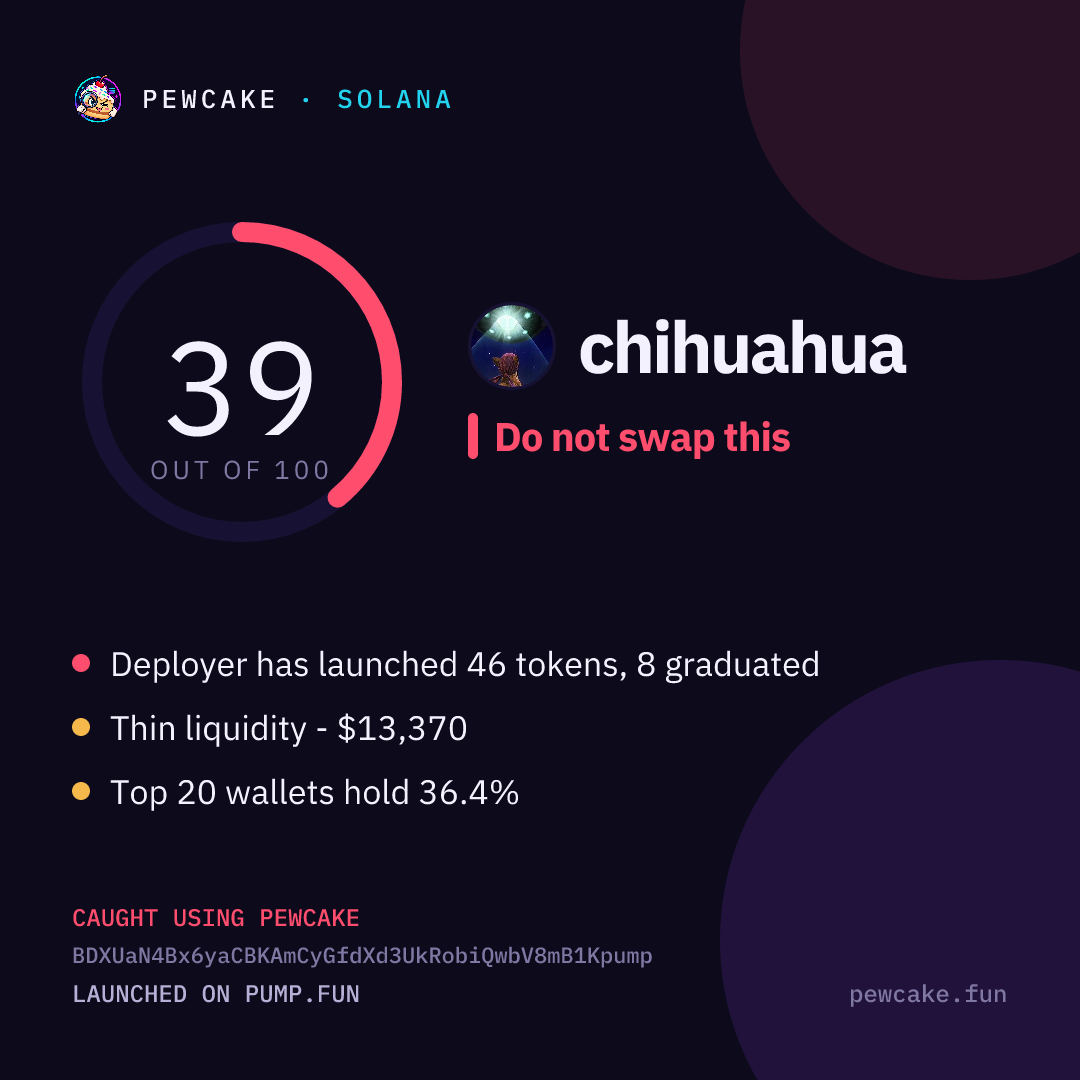 Pewcake risk card for chihuahua